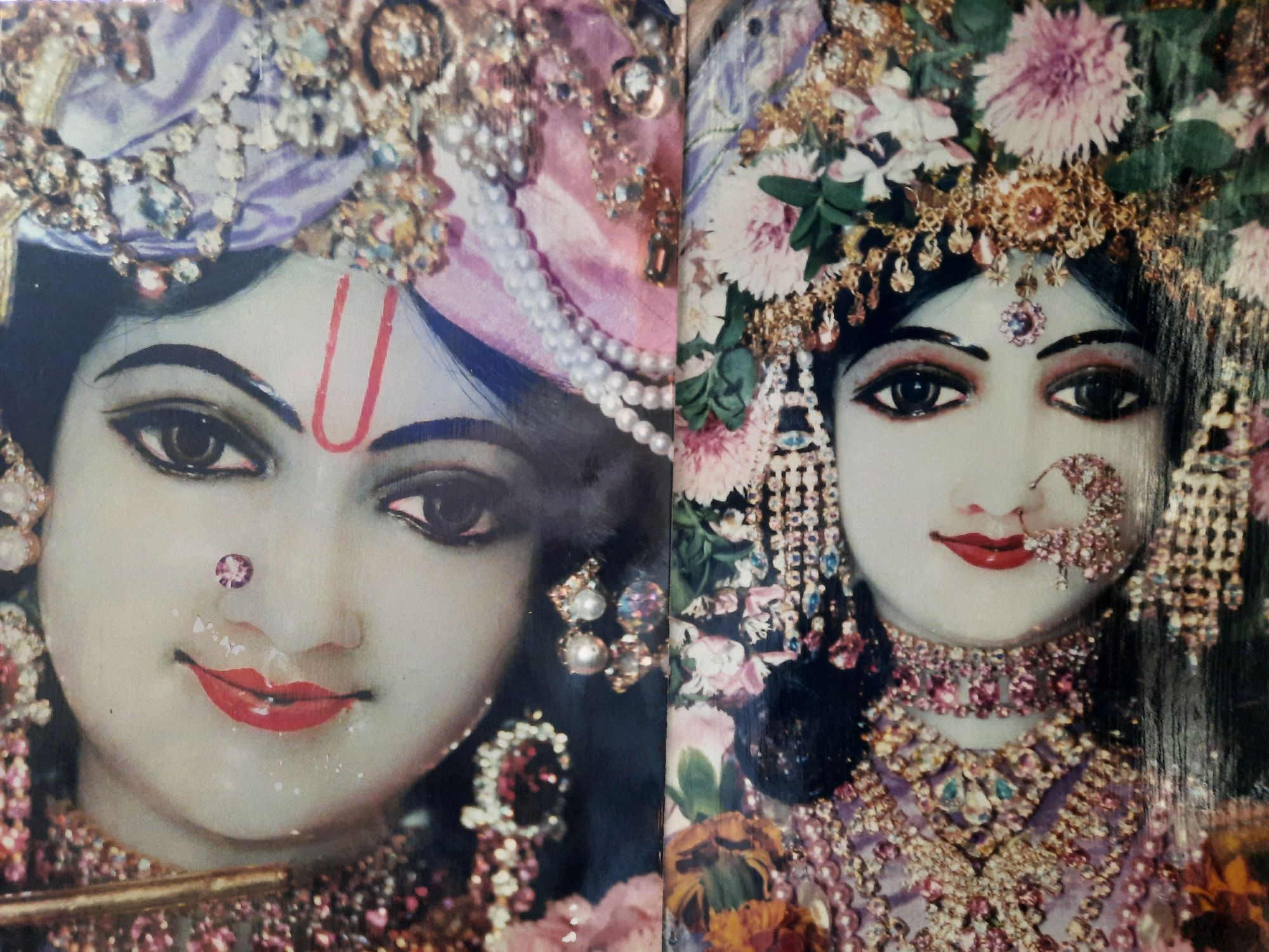 Progressive steps and the bone fide paths . – Site Title